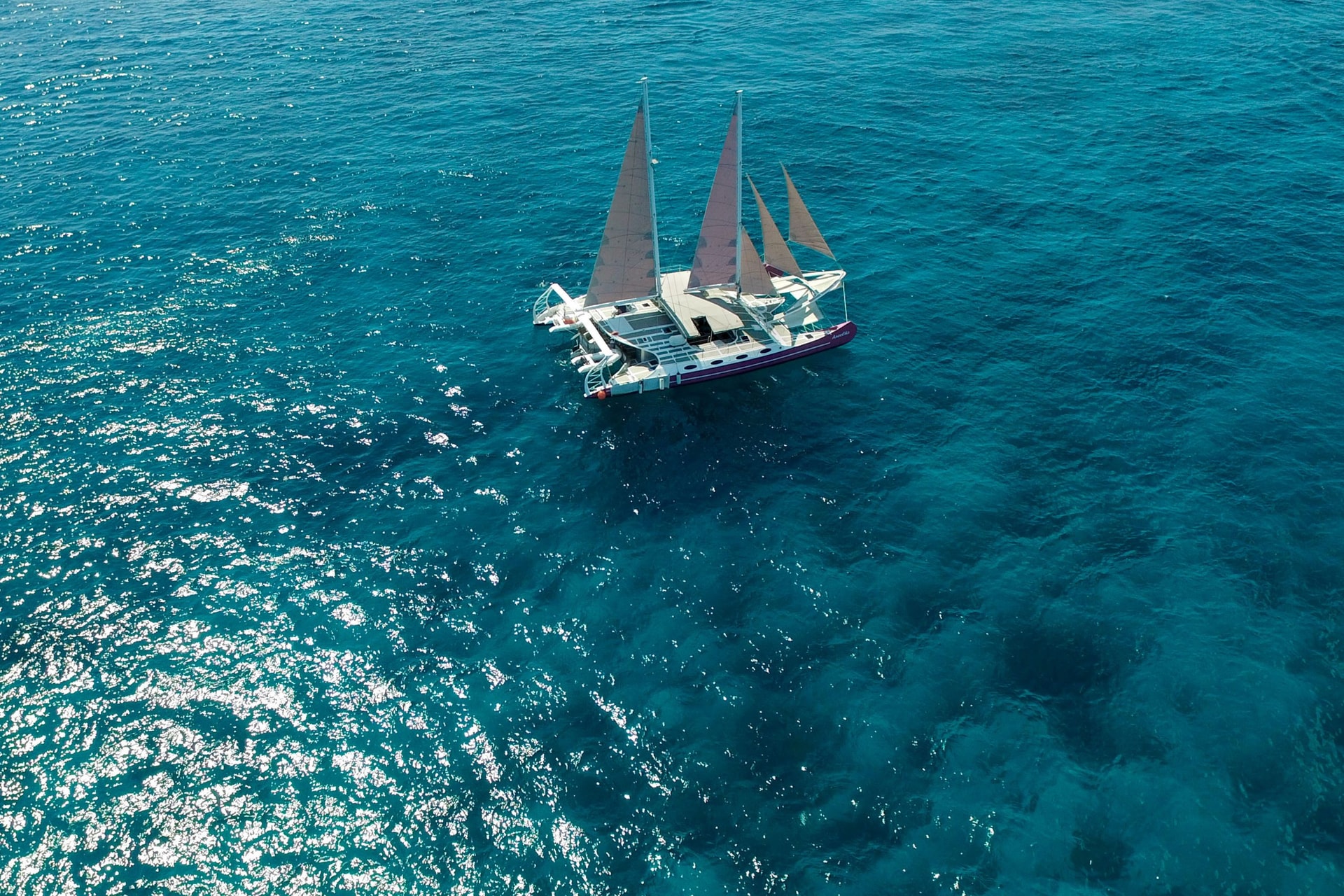 Catamaran 79 4