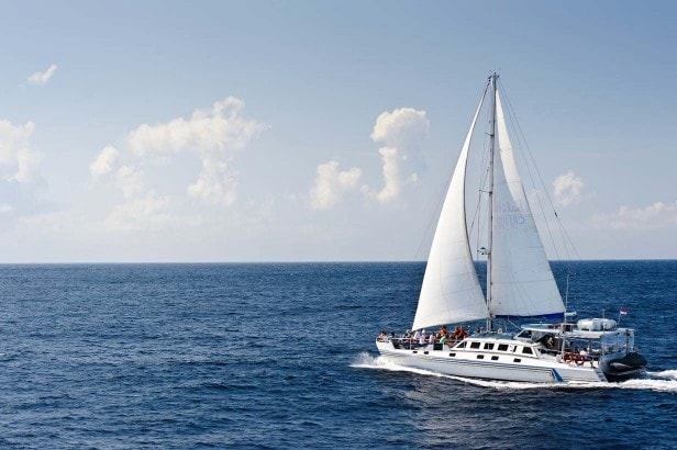 Catamaran 59 1