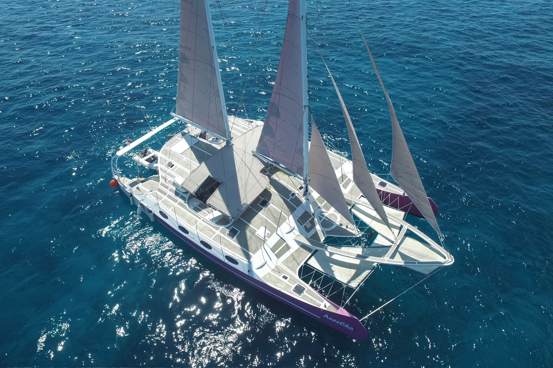 Catamaran 79 1