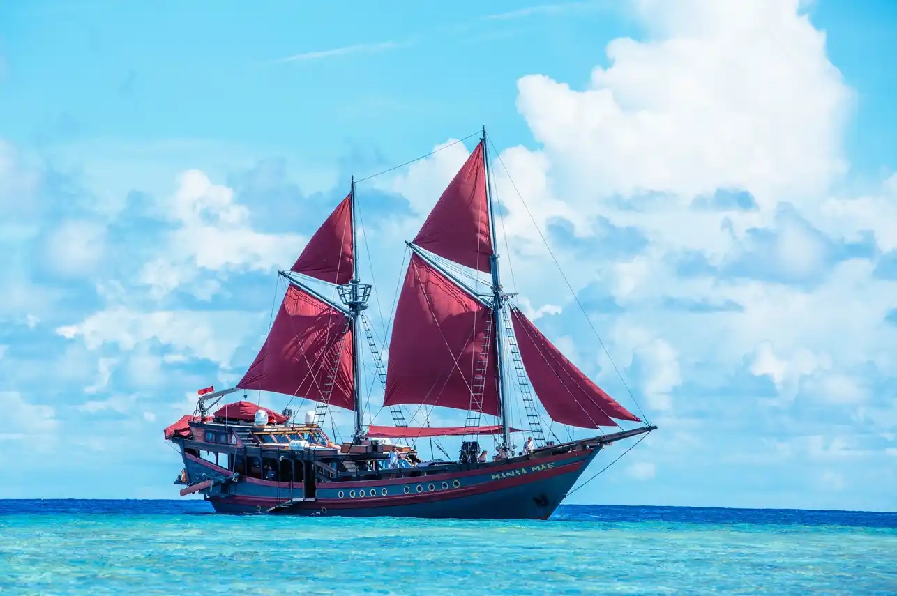 Manta Mae — photo 2